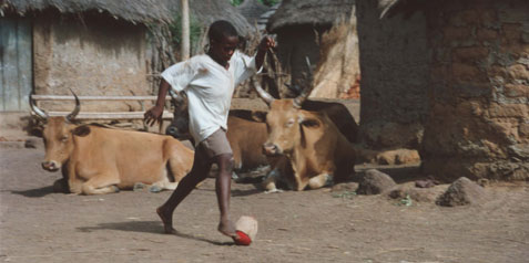 The Golden Ball