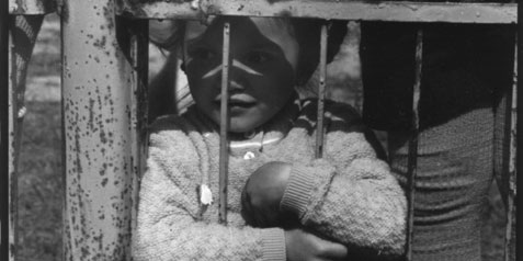 Black Wind, White Land—Living with Chernobyl