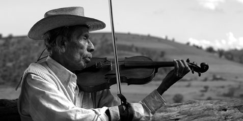 The Violin